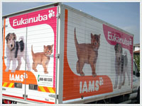 Decorazioni Camion