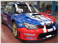 Decorazioni Auto